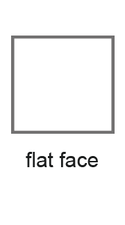 FlatFace-1