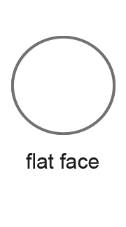 FlatFace-2
